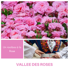 Charger l&#39;image dans la galerie, VALLEE DES ROSES - Rooibos à la rose
