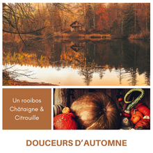 Charger l&#39;image dans la galerie, DOUCEURS D&#39;AUTOMNE - Rooibos Citrouille - Châtaigne
