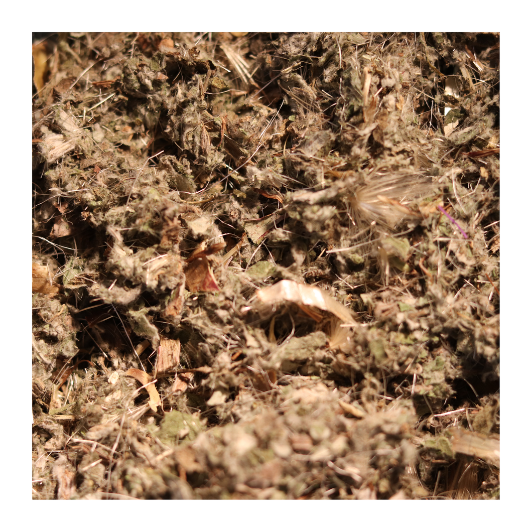 ARTICHAUT - Feuille coupée