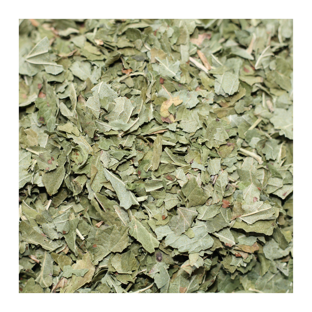 CASSIS - Feuilles coupées