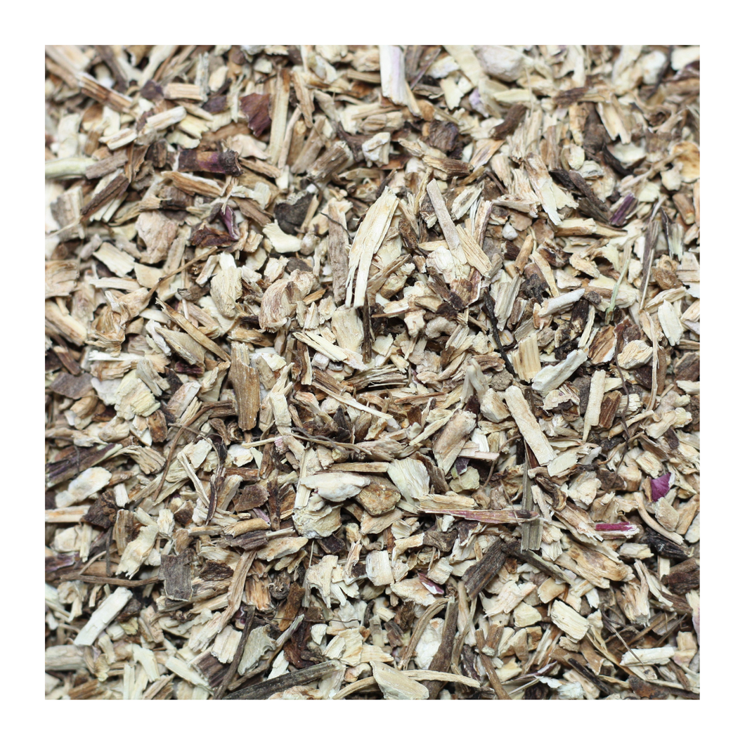 ÉCHINACÉE PURPUREA - Partie aérienne coupée