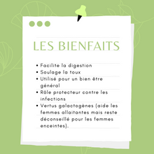 Charger l&#39;image dans la galerie, ANIS VERT - Fruit entier
