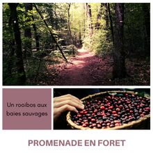 Charger l&#39;image dans la galerie, PROMENADE EN FORÊT - Rooibos aux Baies sauvages
